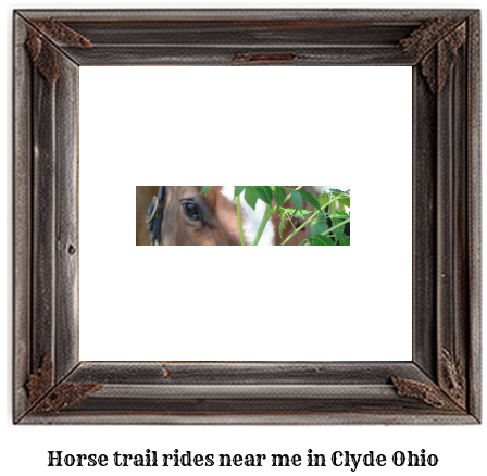 horse trail rides near me in Clyde, Ohio